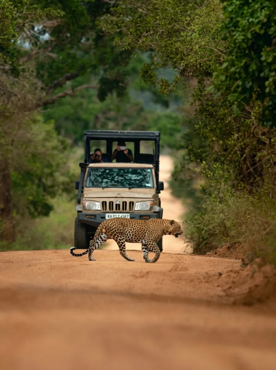 Day 12 - Transfer to Yala & Afternoon Wildlife Safari